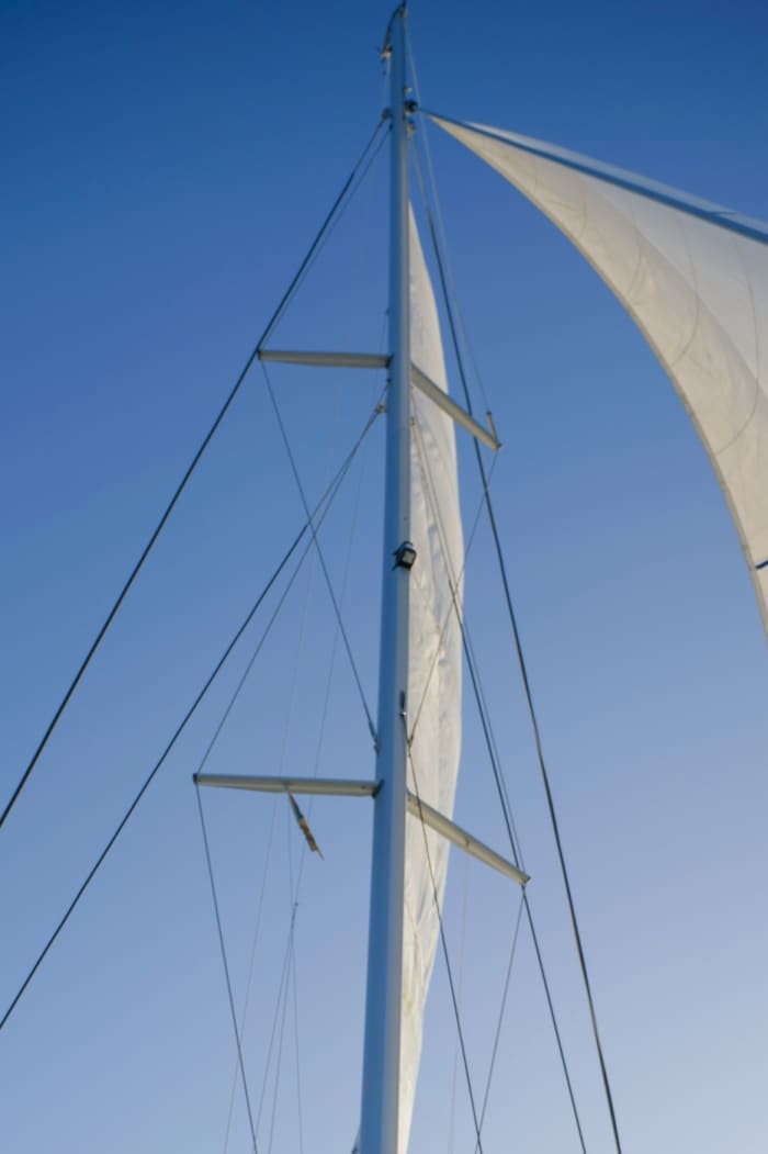 Traccia la rotta verso la gioia: un'intera giornata di autentica navigazione a vela a Saint George's a bordo di un catamarano.
