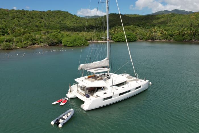 Traccia la rotta verso la gioia: un'intera giornata di autentica navigazione a vela a Saint George's a bordo di un catamarano.