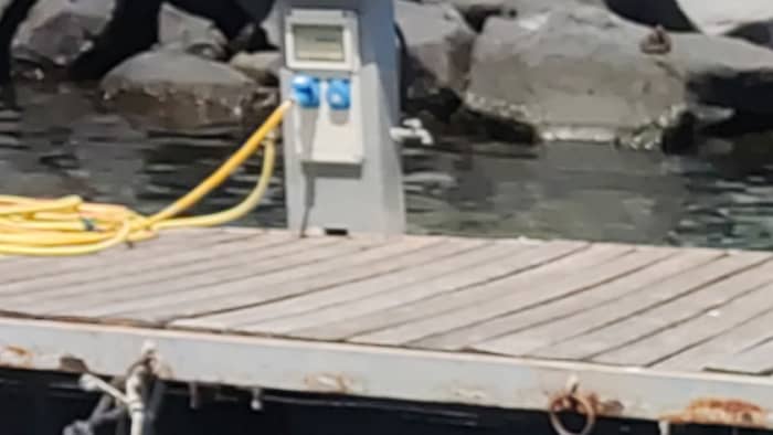 ¡Vive la experiencia del mar como protagonista! ¡ELIGE TU DESTINO!