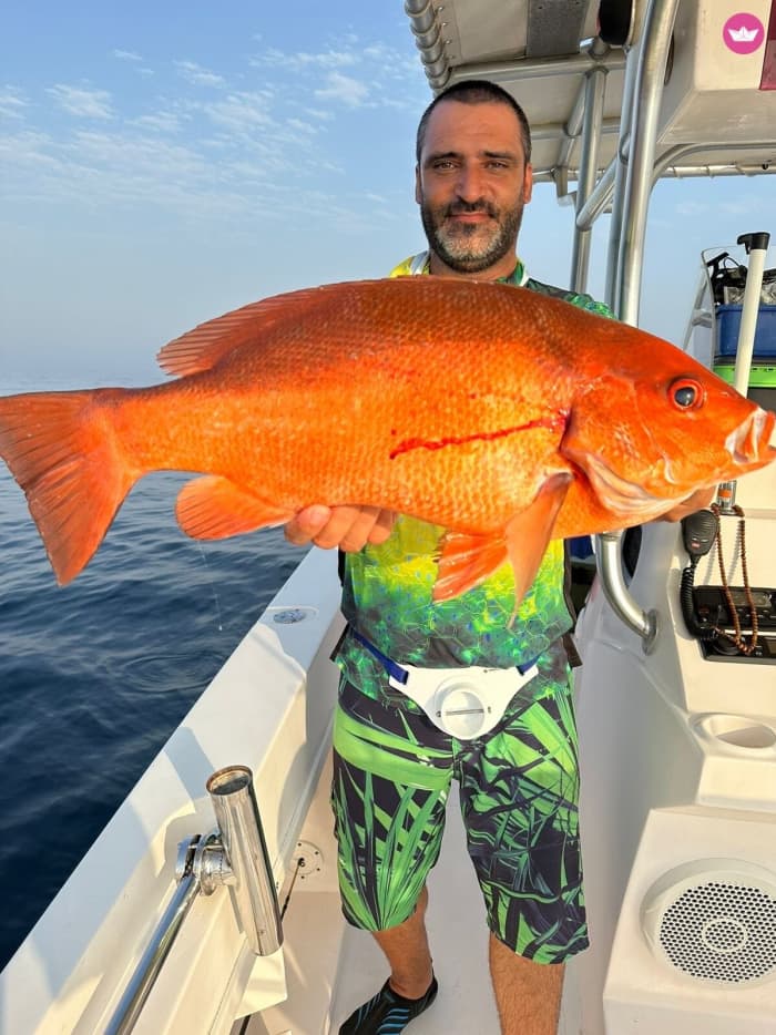Zwei Stunden auf See: Malerische Bootsfahrt ab Al Hamra Marina