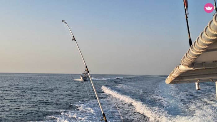 Zwei Stunden auf See: Malerische Bootsfahrt ab Al Hamra Marina
