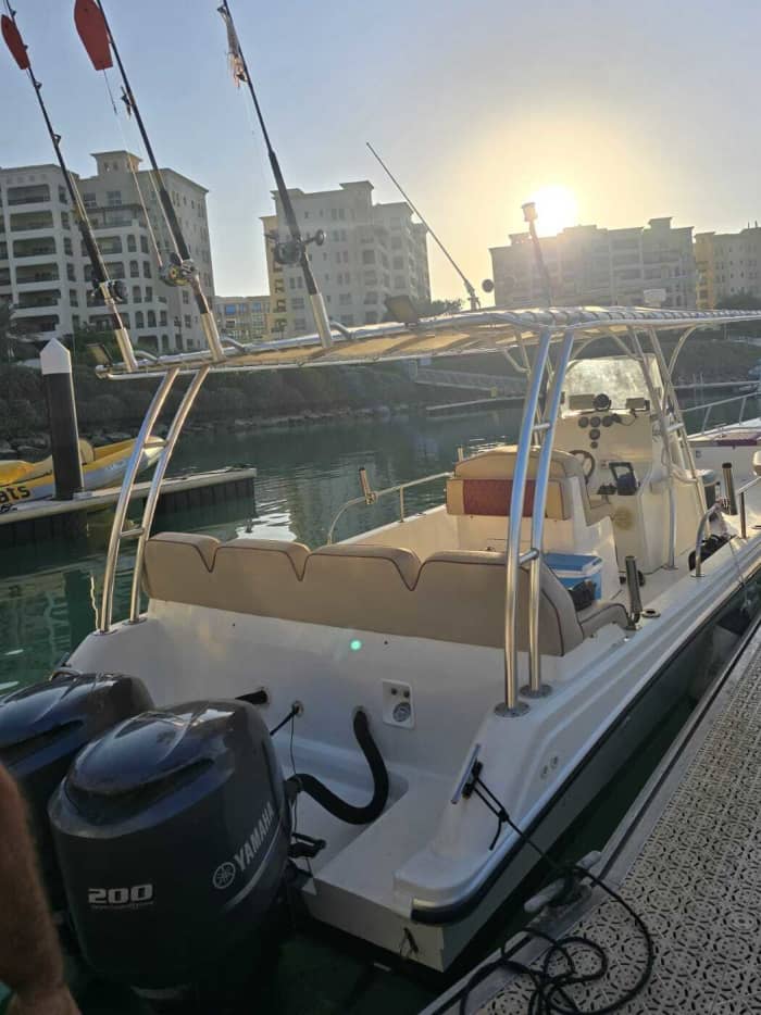 Évasion océanique : croisière privée de 4 heures au départ de Ras Al Khaimah