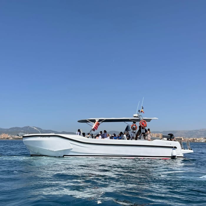 Gita in barca di 4 ore a Palma di Maiorca per godersi il sole e il mare.