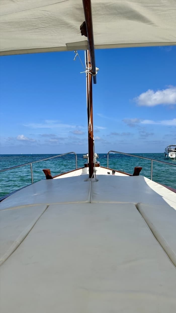 Prenez une demi-journée pour vous détendre sur un bateau à moteur à Port d'Addaia