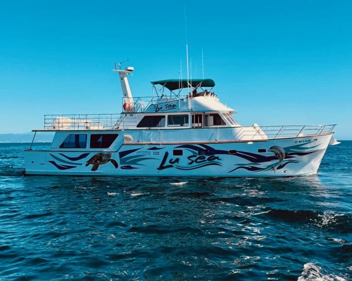 Passeio de barco com tobogãs gigantes, mergulho com snorkel, atividades e almoço.
