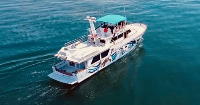 Passeio de barco com tobogãs gigantes, mergulho com snorkel, atividades e almoço.