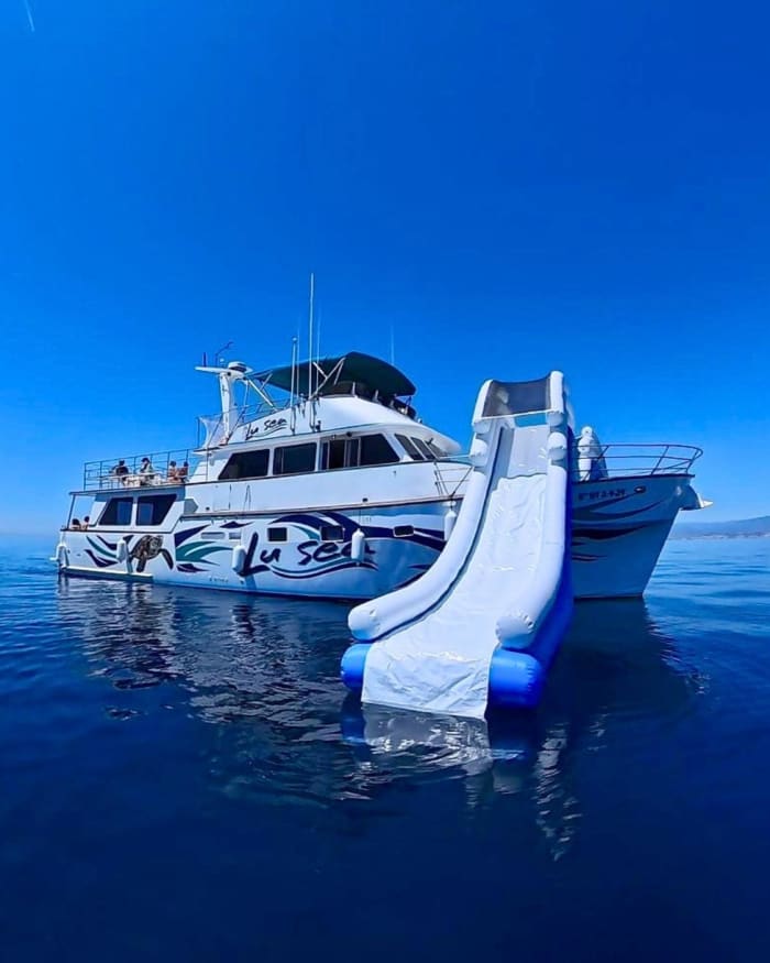 Boottocht met XXL-glijbanen, snorkelen, activiteiten, lunch en ophaalservice.
