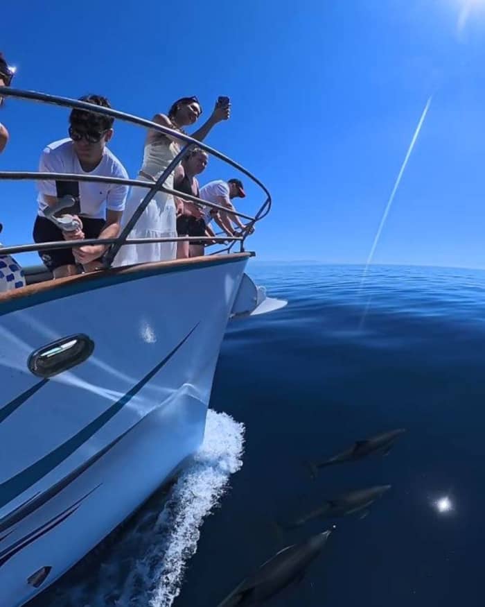 Boottocht met XXL-glijbanen, snorkelen, activiteiten, lunch en ophaalservice.