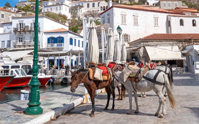 Hydra e Poros | Esperienza privata di un giorno intero in yacht