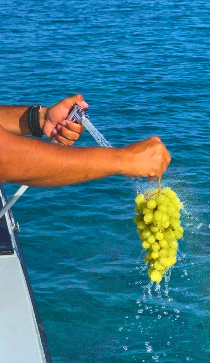 Découverte d'iOS en demi-journée : Votre courte escapade en bateau à moteur