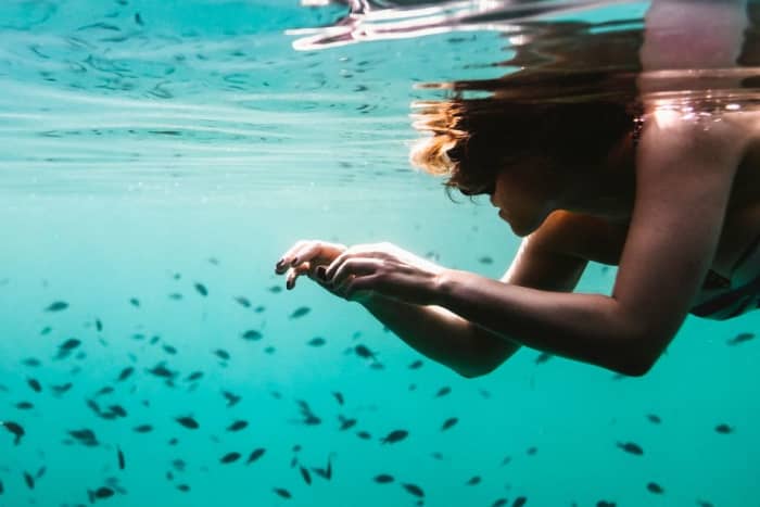Half-Day Snorkeling Tour in Costa Smeralda