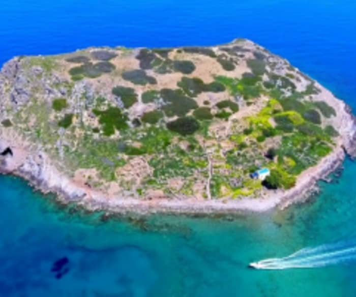 Croisière d'une journée en catamaran à Mochlos, Psira et Agriomandra – Rivages isolés et charme intemporel