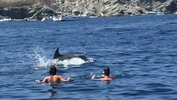 Profitez d'une journée complète sur un voilier à Bandol