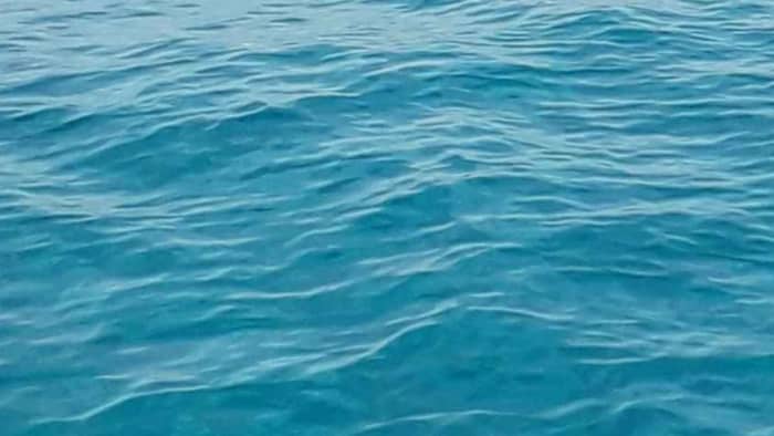 Profitez d'une journée complète sur un voilier à Bandol