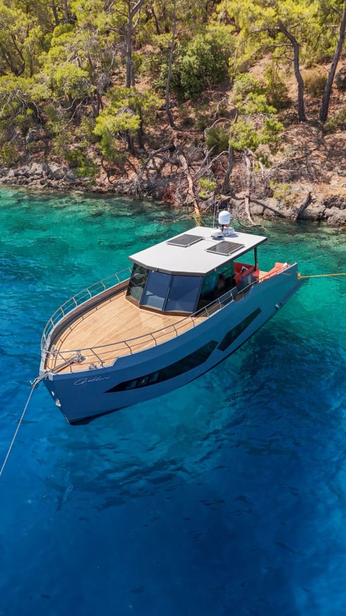 Tarzanbaai, Ciglikbaai en Hillside Bay: hele dag Fethiye
