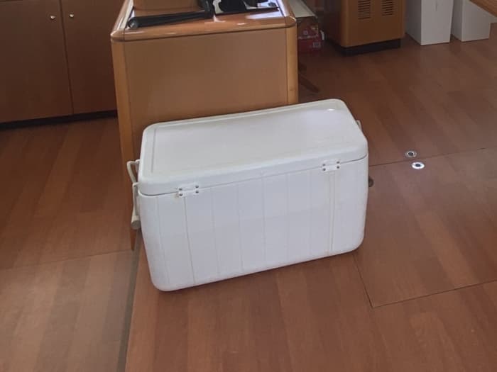 Passeio de veleiro privado de 8 horas em Sotogrande