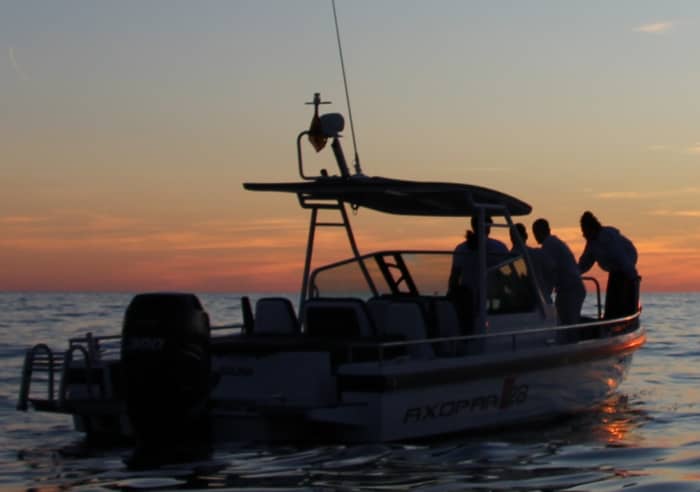 Boottocht langs de baaien van Mallorca · 4 uur all-inclusive | Axopar 28 met schipper, eten, drinken, paddleboarden en snorkelen