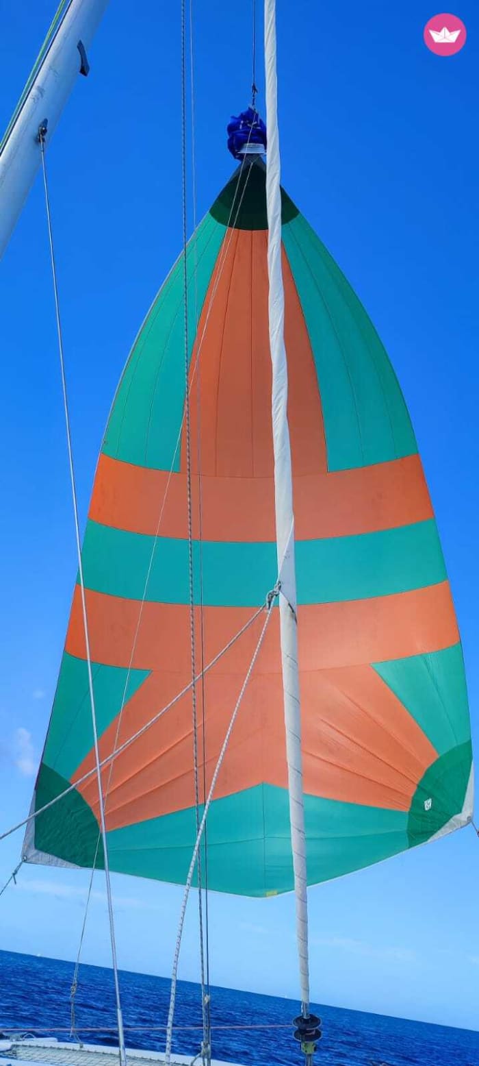 Zuidkaap – Geheime baaien en zeeschildpadden per catamaran