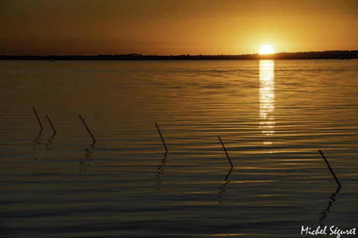 Sunset & Tasting – 2 hours of magic on the Thau Lagoon