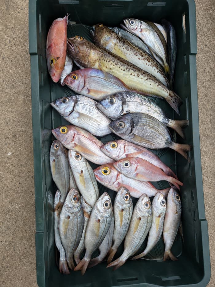 Excursion de pêche privée en soirée avec un skipper local