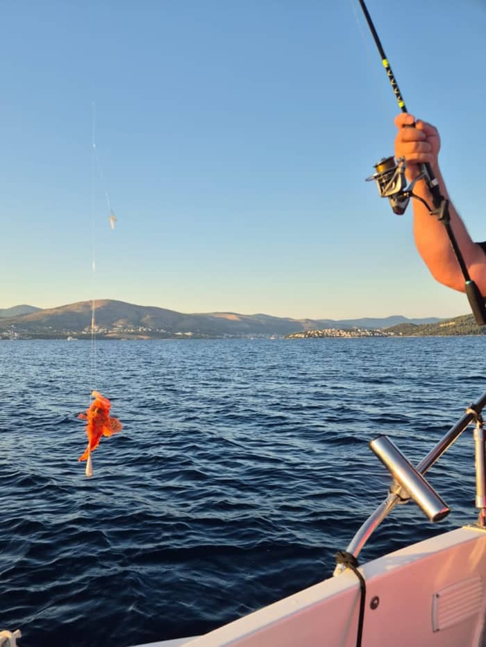 Excursion de pêche privée en soirée avec un skipper local