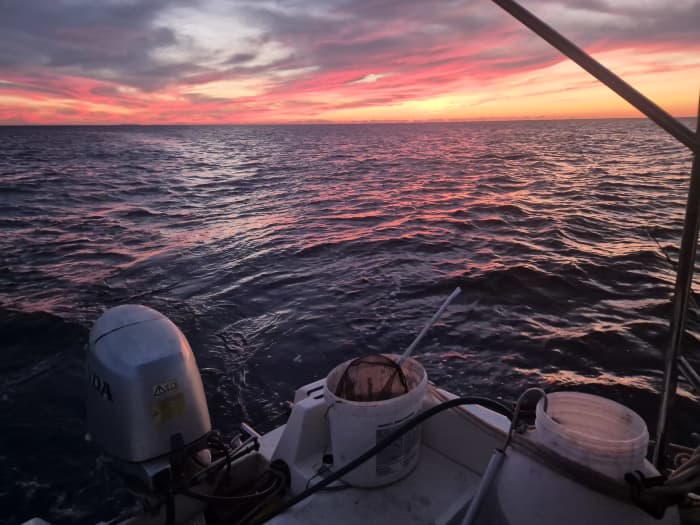 Excursion de pêche privée en soirée avec un skipper local