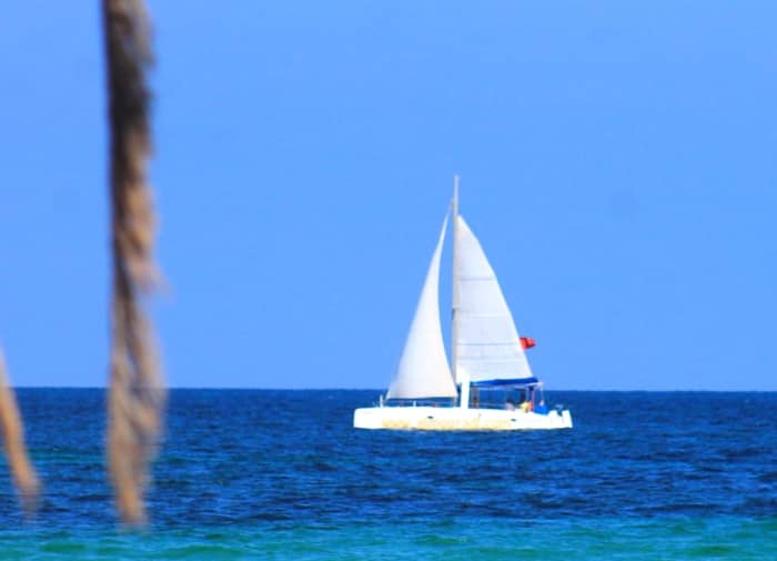 2h Mediterranean Catamaran Tour with Dolphin Spotting