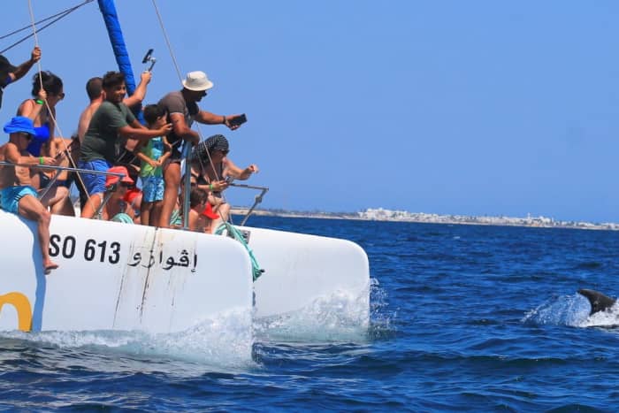 2h Mediterranean Catamaran Tour with Dolphin Spotting