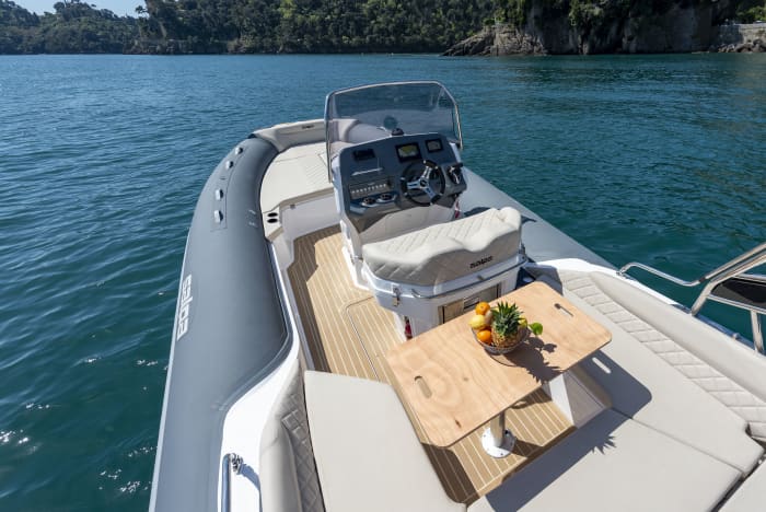 Half-Day Cruise to Portofino and Beyond on the Soleil 24.5