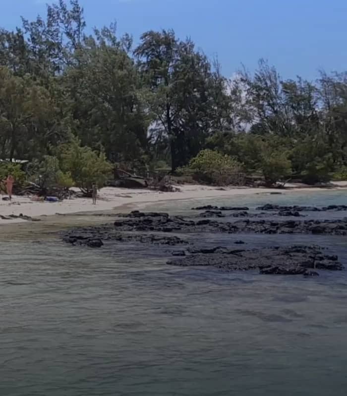 Privé speedboot dagtocht – Pointe d'Esny Lagoon Adventure