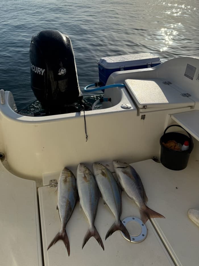 Expérience de pêche complète à Saranda – Combo jigging et spinning