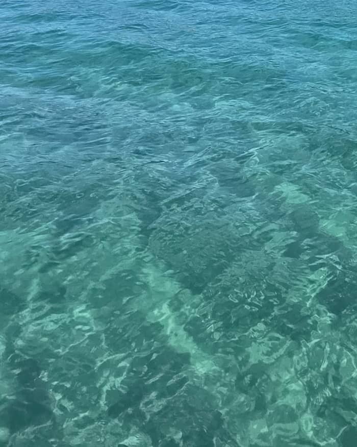 En Marina di Scarlino, durante 4 horas, alquile un precioso barco y disfrute de una sesión de snorkel en Cala Violina acompañado por un instructor experto en apnea.