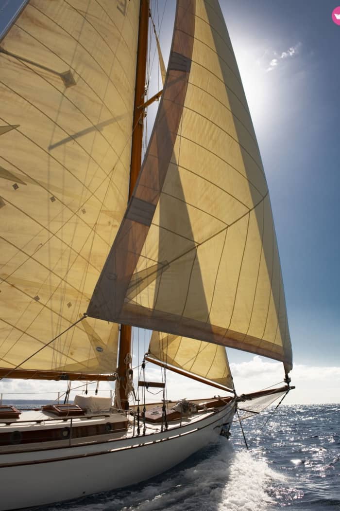 Mallorca Magic – Sunset Boat Tour with Local Flavors