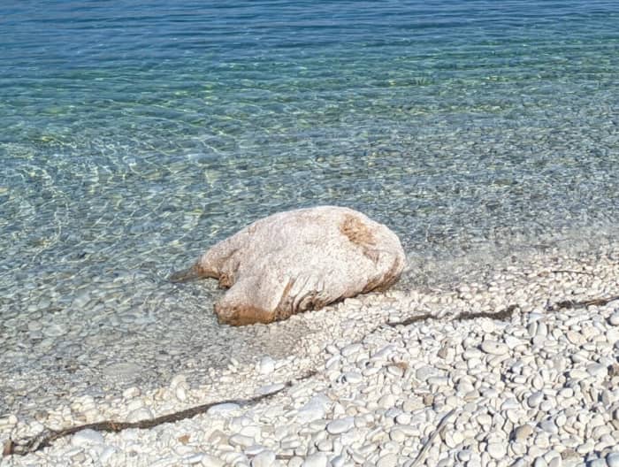 Passeio de barco privado em Zlatni Rat – viagem de dia inteiro saindo de Makarska
