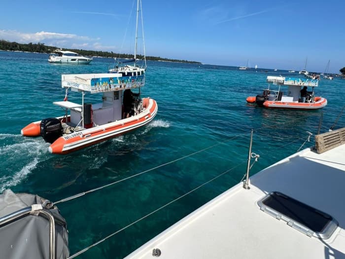 Excursion d'une demi-journée en catamaran au départ de Cannes