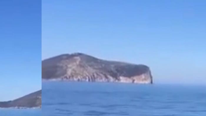 Tavolara en Molara op zoek naar dolfijnen: een avontuur van een hele dag op een 15 meter lange zeilboot.