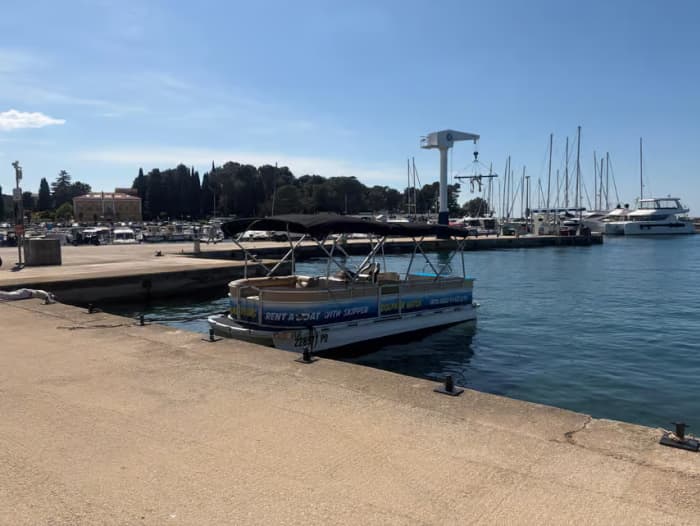 Dolphin Watching Tour from Poreč: Sunset Sea Safari