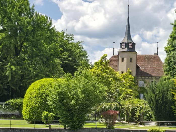Frühlingsausflug – Begegnung mit den Störchen von Altreu (12 Uhr)