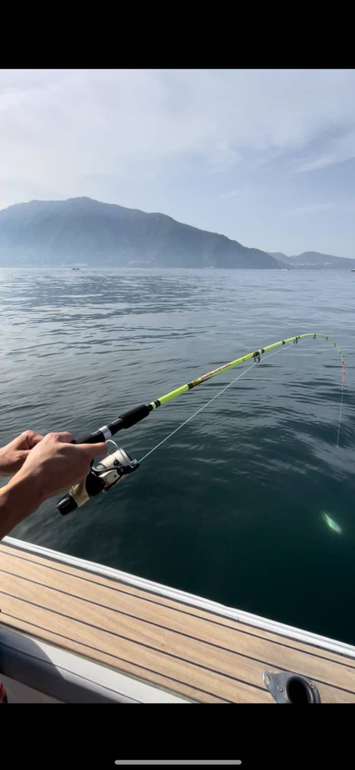 Pêche dans le Golfe : à la découverte de la biodiversité marine