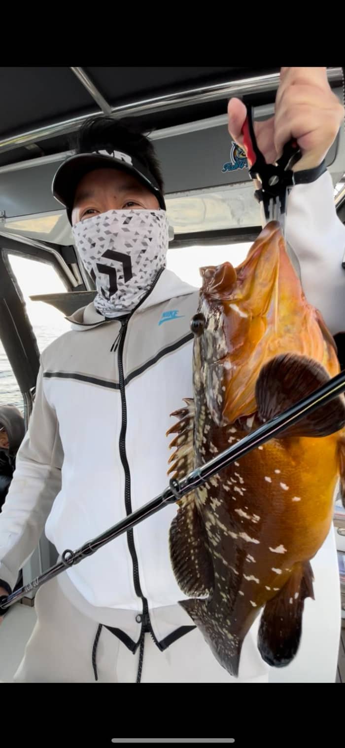 Pêche dans le Golfe : à la découverte de la biodiversité marine