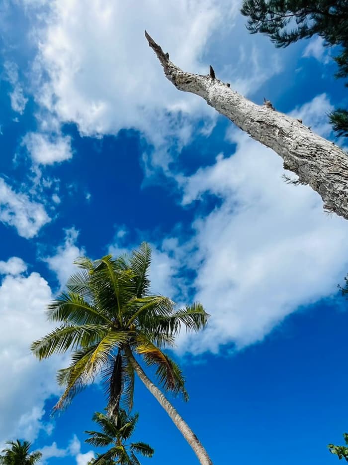 Seychelles Sundown Cruise: Gentle Waters & Coastal Views