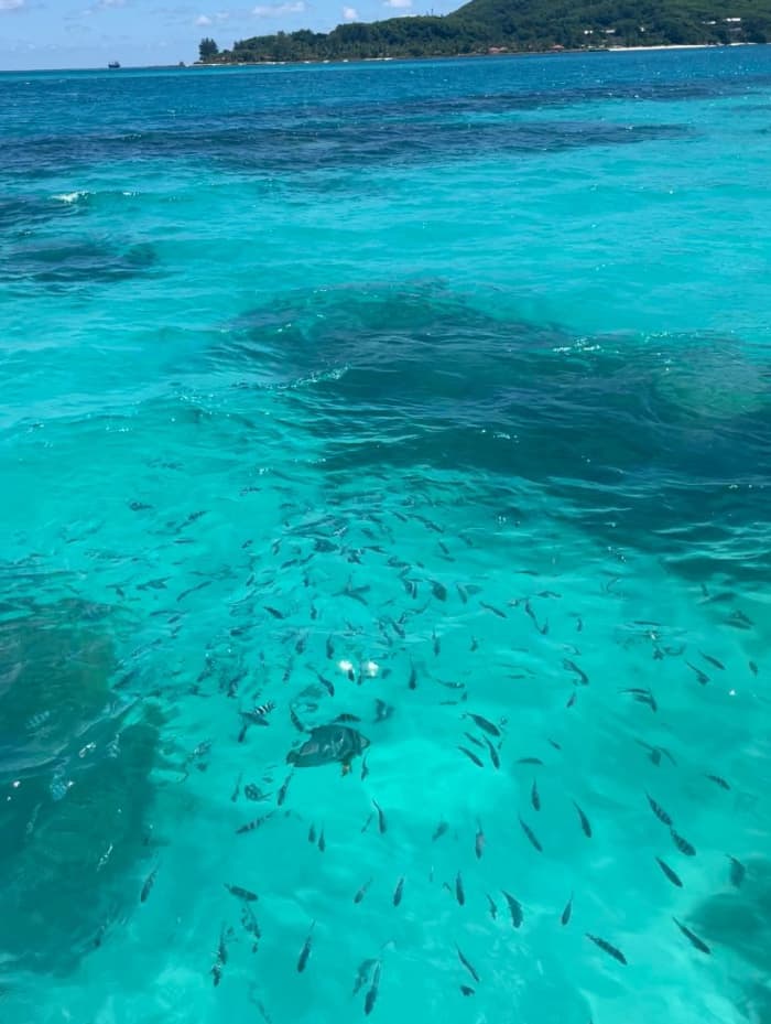 Excursion privée de 7 heures sur la côte nord-ouest des Seychelles