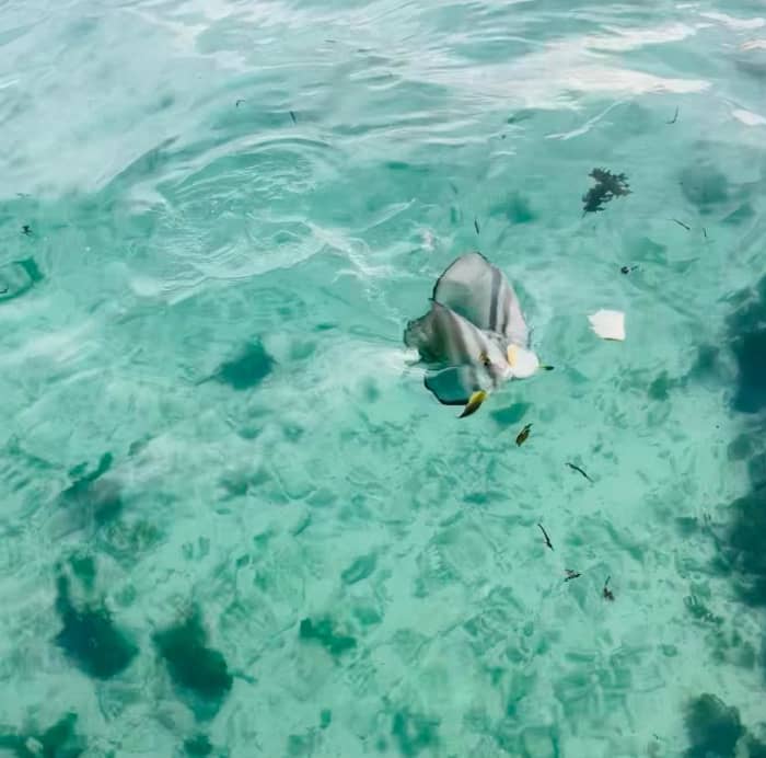 Excursion privée de 7 heures sur la côte nord-ouest des Seychelles