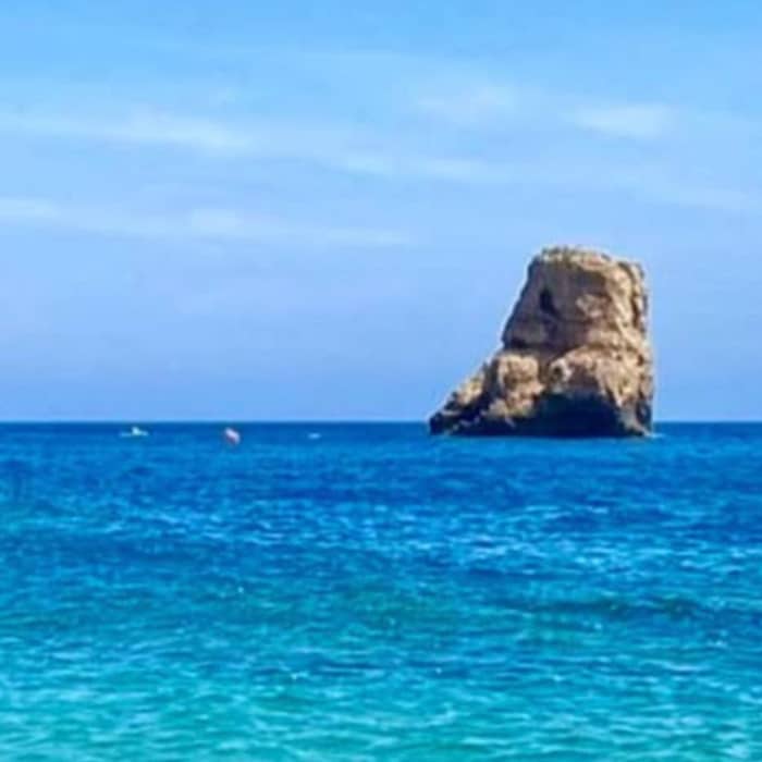 Enjoy the Costa Blanca in 4 hours!