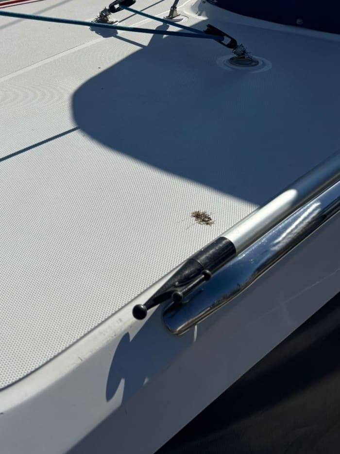Catamaran sailing experience in Sitges, 2-3 and 4 hours, check rates