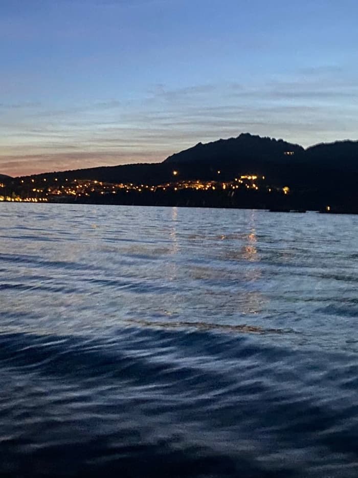 Viagem de observação de golfinhos!