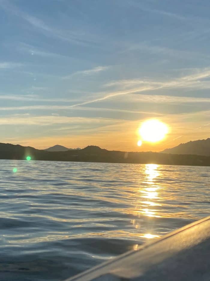 Viagem de observação de golfinhos!