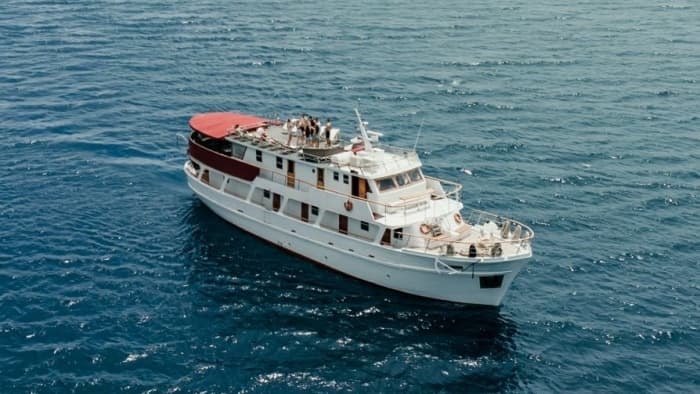 Entdecken Sie Dalmatien auf einer 4-stündigen Motorboottour.