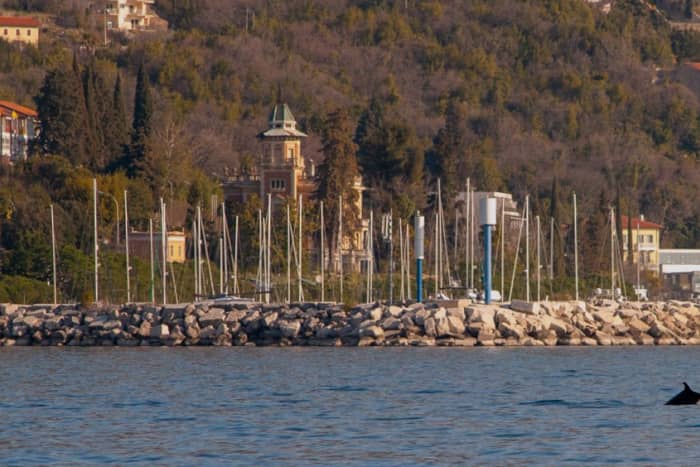 Hidden Gems of the Opatija Riviera: Mošćenička Draga Boat Tour