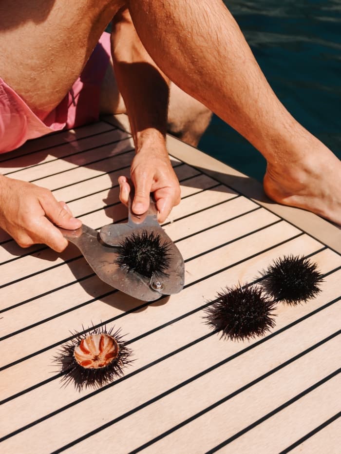 Una vera fuga adriatica: 7 ore nella bellezza incontaminata di Dubrovnik.
